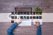 深入剖析网站流量构成情况，助力企业精准营销
