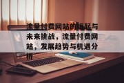 流量付费网站的崛起与未来挑战,流量付费网站,发展趋势与机遇分析 流量付费网站的崛起与未来挑战,流量付费网站,发展趋势与机遇分析