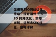 温州市SEO网站优化策略，提升温州市 SEO 网站优化，策略详解，温州市SEO优化，策略详解