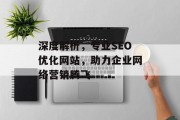 深度解析，专业SEO优化网站，助力企业网络营销腾飞
