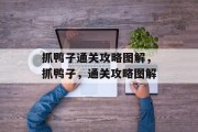 抓鸭子通关攻略图解，抓鸭子，通关攻略图解