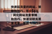 快速起流量的网站，策略和技巧，优化SEO: 简化网站流量策略和技巧，快速获取高质量流量，策略与技巧分享
