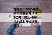 六国化工2025年上半年净利润为-1.49亿元、同比-608.08 成本与价格双重挤压