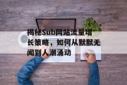 揭秘Sub网站流量增长策略，如何从默默无闻到人潮涌动