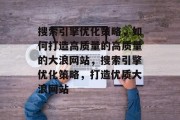 搜索引擎优化策略，如何打造高质量的高质量的大浪网站，搜索引擎优化策略，打造优质大浪网站