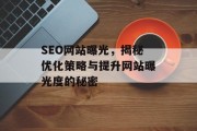 SEO网站曝光，揭秘优化策略与提升网站曝光度的秘密