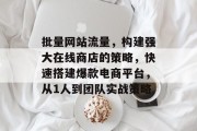 批量网站流量，构建强大在线商店的策略，快速搭建爆款电商平台，从1人到团队实战策略