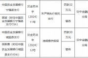 农发行两家支行合计被罚62万元：未严格执行受托支付、违规提供担保