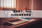 “美制裁下，DeepSeek给俄带来希望”