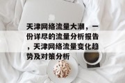 天津网络流量大潮，一份详尽的流量分析报告，天津网络流量变化趋势及对策分析
