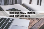 流量测速网站，揭秘网络速度的秘密武器