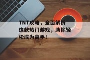 TNT攻略，全面解析这款热门游戏，助你轻松成为高手！