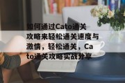 如何通过Cato通关攻略来轻松通关速度与激情,轻松通关,Cato通关攻略实战分享