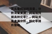 怎么看网站的流量，分析流量来源，网站如何提高转化率？，网站流量来源分析，转化率提升策略
