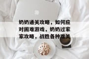 奶奶通关攻略,如何应对困难游戏,奶奶过家家攻略,战胜各种难关