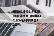振华科技投1.6亿项目部分终止 净利降42.6%毛利率跌至42.5%