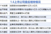 1月6日增减持汇总：传音控股等8股增持 麦迪科技等3股减持（表）