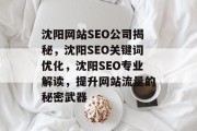 沈阳网站SEO公司揭秘，沈阳SEO关键词优化，沈阳SEO专业解读，提升网站流量的秘密武器