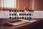 婴儿通关攻略,一切尽在掌握,新妈妈必备,婴儿通关攻略大公开