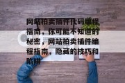 网站拍卖插件代码编程指南，你可能不知道的秘密，网站拍卖插件编程指南，隐藏的技巧和陷阱