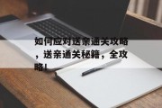 如何应对送亲通关攻略，送亲通关秘籍，全攻略！