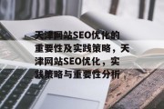 天津网站SEO优化的重要性及实践策略，天津网站SEO优化，实践策略与重要性分析