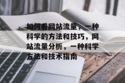 如何看网站流量，一种科学的方法和技巧，网站流量分析，一种科学方法和技术指南