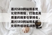 嘉兴SEO网站排名优化软件教程，打造出高质量的搜索引擎排名，嘉兴SEO网站排名优化软件培训实战教程