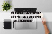 通关攻略,木子如何应对关卡,木子通关秘籍,避开各种难关