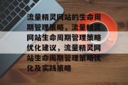 流量精灵网站的生命周期管理策略，流量精灵网站生命周期管理策略优化建议，流量精灵网站生命周期管理策略优化及实践策略