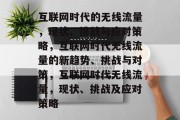 互联网时代的无线流量,现状、挑战与应对策略,互联网时代无线流量的新趋势、挑战与对策,互联网时代无线流量,现状、挑战及应对策略 互联网时代的无线流量,现状、挑战与应对策略,互联网时代无线流量的新趋势、挑战与对策,互联网时代无线流量,现状、挑战及应对策略