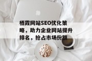 栖霞网站SEO优化策略，助力企业网站提升排名，抢占市场份额
