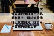 流量劫持下的网站，攻击者如何获取用户信息并利用之，网站流量劫持，攻破漏洞，收集用户数据的秘密武器