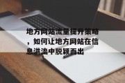 地方网站流量提升策略，如何让地方网站在信息洪流中脱颖而出
