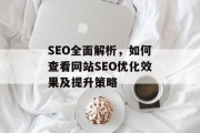 SEO全面解析，如何查看网站SEO优化效果及提升策略