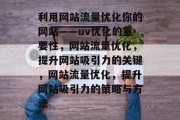 利用网站流量优化你的网站——uv优化的重要性，网站流量优化，提升网站吸引力的关键，网站流量优化，提升网站吸引力的策略与方法