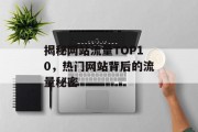 揭秘网站流量TOP10,热门网站背后的流量秘密 揭秘网站流量TOP10,热门网站背后的流量秘密
