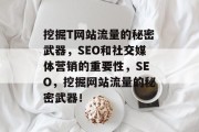 挖掘T网站流量的秘密武器，SEO和社交媒体营销的重要性，SEO，挖掘网站流量的秘密武器！