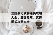 三国战纪武将通关攻略大全,三国无双,武将通关攻略大全