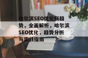 哈尔滨SEO优化新趋势,全面解析,哈尔滨SEO优化,趋势分析与实战指南 哈尔滨SEO优化新趋势,全面解析,哈尔滨SEO优化,趋势分析与实战指南