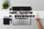 通关攻略——bgm技巧解析，bgm技巧解析，通关必备的秘密武器