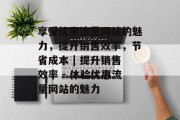 享受优惠流量网站的魅力，提升销售效率，节省成本 | 提升销售效率 - 体验优惠流量网站的魅力