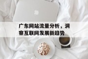 广东网站流量分析，洞察互联网发展新趋势