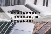 印尼通关攻略秘籍解析,印尼通关攻略,10步教你轻松通关!