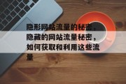 隐形网站流量的秘密，隐藏的网站流量秘密，如何获取和利用这些流量