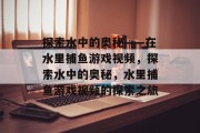 探索水中的奥秘——在水里捕鱼游戏视频，探索水中的奥秘，水里捕鱼游戏视频的探索之旅