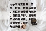 app网站流量费，价格、应用、成本与策略，互联网流量费用解析，目标客户群、策略及市场趋势分析，互联网流量费用，解析、策略与趋势分析