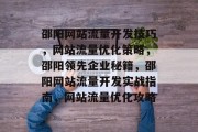邵阳网站流量开发技巧，网站流量优化策略，邵阳领先企业秘籍，邵阳网站流量开发实战指南，网站流量优化攻略