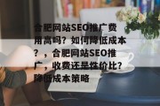 合肥网站SEO推广费用高吗？如何降低成本？，合肥网站SEO推广，收费还是性价比？降低成本策略