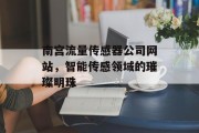 南宫流量传感器公司网站，智能传感领域的璀璨明珠